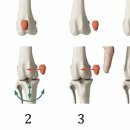 로로동물의료센터 이미지