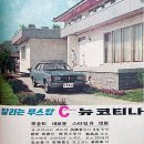 CORTINA 티스토리