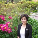 화려한외출투 Daum카페