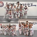 용인대 스타태권도장 이미지