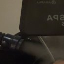 페이즈헤어 이미지