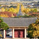 나무안에서 이미지