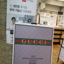 지니스안경논산점 | 논산안경 논산안경테 논산렌즈 대박할인 지니스안경