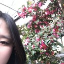 NR-3[평화로]-하-34 | 우리의 제주🍊