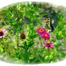 좋은생각 이미지