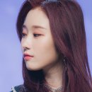 포토시그니처 bnt뉴스