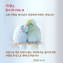 11/25(화) [D+227day 제1442회 천심원 특별철야정성 참어머님 65일째/천승교회 제462회] 이미지