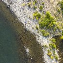 섬진강낚시 이미지