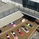 요가 | 부산 브런치 요가 후기｜햇살과 바람 속에서 ‘나’를 깨우는 야외 요가 클래스