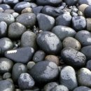 완도 정도리 구계등 이미지