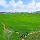 조삼만농장 | 고창으로 놀러간다면 어디로(3) - 학원관광농장, 선운사, 선운산도립공원