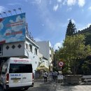 가톨릭할인마트 | 시내투어 코스 추천 (나트랑 대성당, 롱선사, 담시장, 롯데마트 골드코스트점, 촌촌킴, 65번 과일가게)