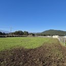 송마목장 이미지