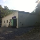 오마이독 이미지