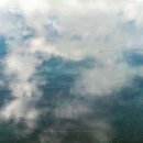 남하대야리 이미지