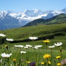 인터라켄 이미지