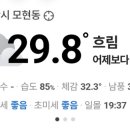 서해홍탁 이미지