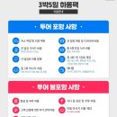 하노이가이드맨 이미지