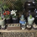 서정상회 이미지