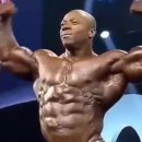 보디빌딩의 영웅 (Bodybuilding Hero) 이미지