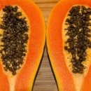 파파야 이미지