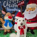 태담이네 하우스 이미지