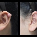 와인성형외과의원 이미지