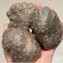 역사와 함께하는 미술여행 | 무계획으로 동해산타열차타고 여행하기 / 열차시간표 / 철암탄광역사촌 후기