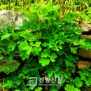 여수특산품명품화사업단 이미지