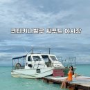 코타키나발루 야시장 씨푸드 저렴하게 먹기 + 필리피노 마켓 망고 꿀팁