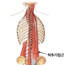 리케어 이미지