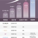 로하스팜 | 화장품쇼핑후기(발렌티노쿠션,아로셀,듀이셀,올리브영세일)