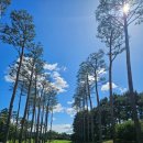 미스사이공업스퀘어점 | 스카티 카메론 스퀘어백2 1년 사용해보니 달라진 점수