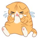 이앤박 이미지