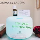 자연미인 에스테틱 이미지