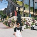 더비치핑크스