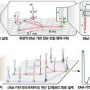 컴퓨터기초/강좌번호 1 클리앙 새로운소식