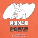 수지경희한의원 이미지