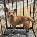 검정보건진료소 이미지