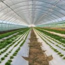 옥계농장 이미지