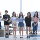 미녀 이미지
