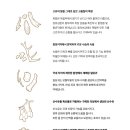 조양수지 이미지