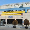 풀쇼트 | 2026 피겨 종합선수권 쇼트 프로그램 직관 후기(2026.1.3, 목동아이스링크장)