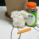 꼬모다미 이미지