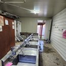 파주 느티나무그늘아래 캠핑장 뒷동산 1,2번 사이트