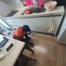 연봉중앙로 이미지