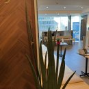 서울수정신건강의학과의원 이미지