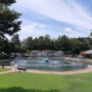 경북대학교 이미지