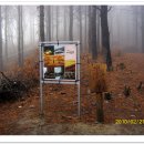 숲길민박 이미지