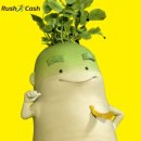오케이캐쉬대부